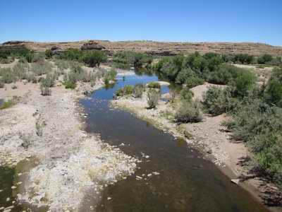 Fish
                      River - 1