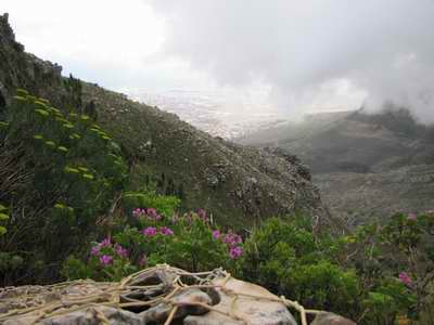 View down Platteklip
                      Gorge