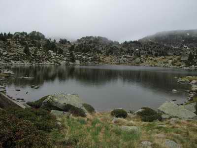 Lake in mist