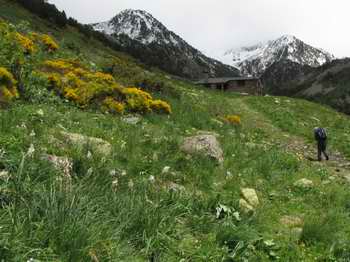 view up Sorteny valley