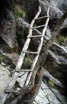 Ladder on trail