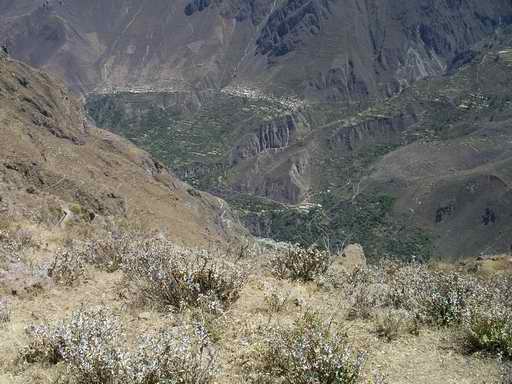 Colca Canyon