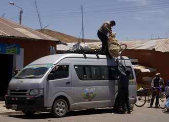 sheep on the roof-rack