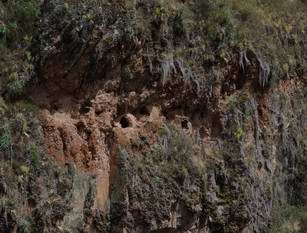 Inca tombs