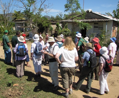 Group learning about plants