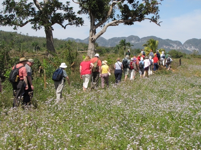group walking in Vinales valley