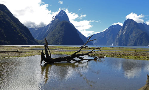 Milford Sound