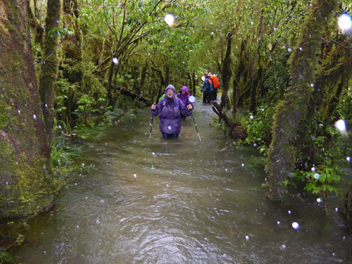 Flooded Trail