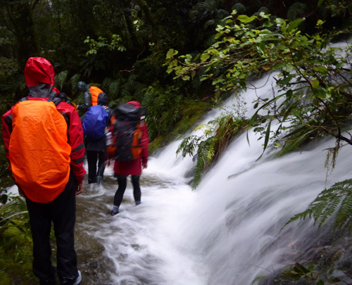 Flooded Trail