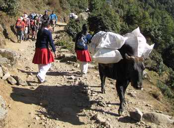 schoolgirls on the trail